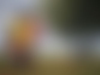 Lessons from the Crisis