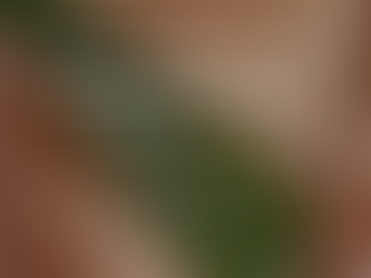 Intimate Aesthetic Skin Brightening Treatment in Weybridge – Safe & Professional Care at Eternal Clinic