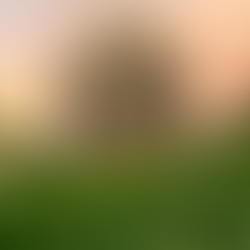 Nos émotions, notre boussole intérieure