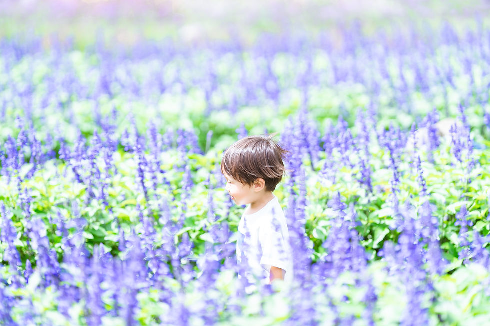 8/17~18 ガーデン撮影会をしました