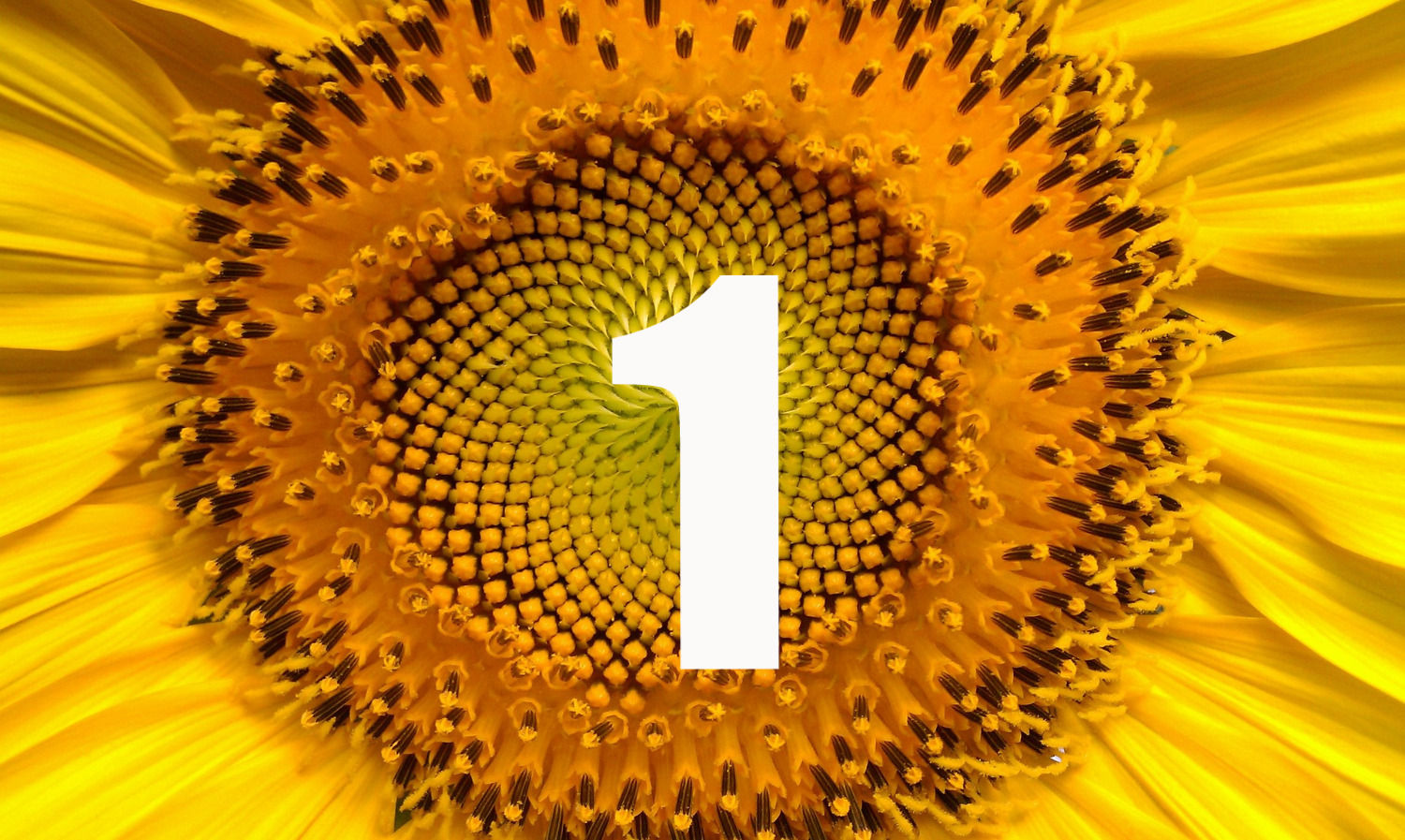 PROSPERITY PERSONAS BASICO