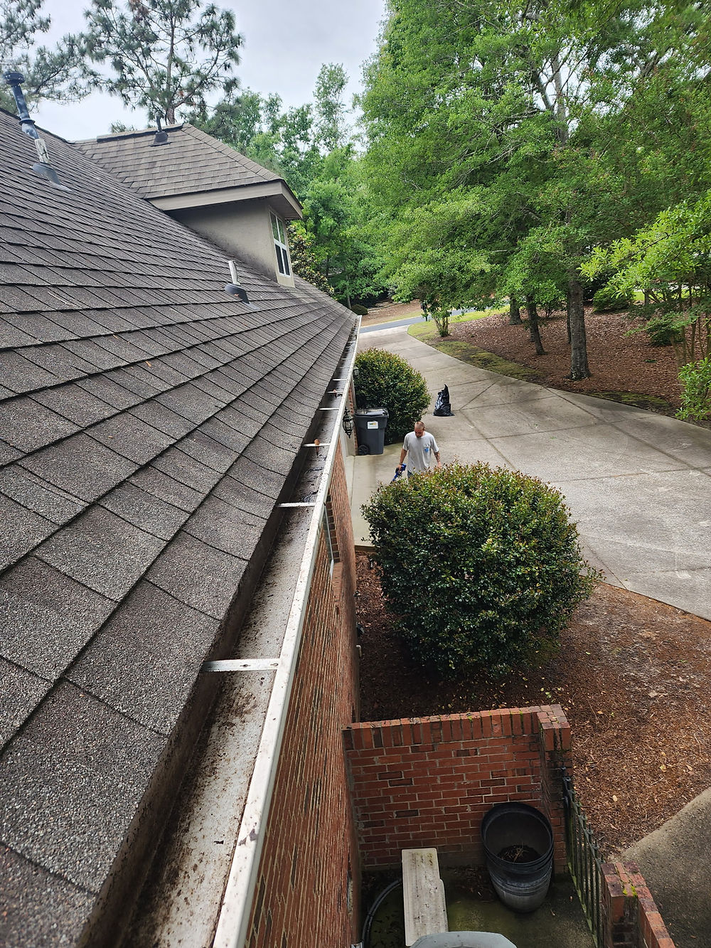 Clean gutters on a residential roof for maintenance.