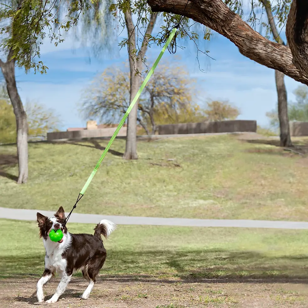 Thumbnail: Jolly Pets "Tree Tugger" Outdoor Dog Toy