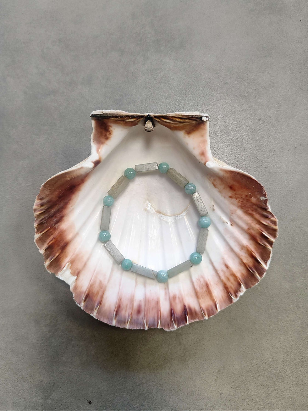 Miniature : COQUILLE SAINT JACQUES - Taux vibratoire - Onde de forme Coquillage