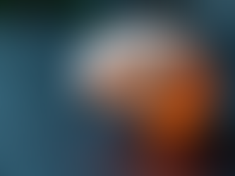 Exploring Autonomic Nervous System Disorders