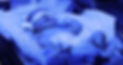 Copy-of-phototherapy.jpeg