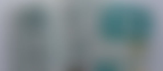 El Dato no tan inútil: FANZINE