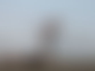 El Dato no tan inútil: CAPOEIRA