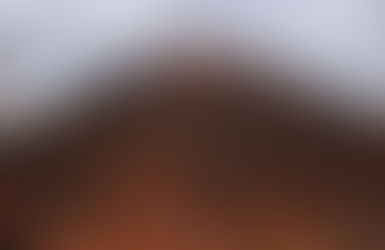 Reishi het wondermiddel
onder onze neus.