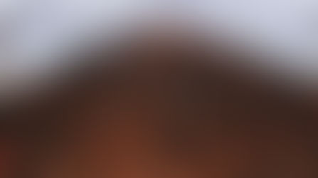 Reishi het wondermiddel
onder onze neus.