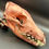 Thumbnail: Copper Plated Coyote Skull with Raw Teeth