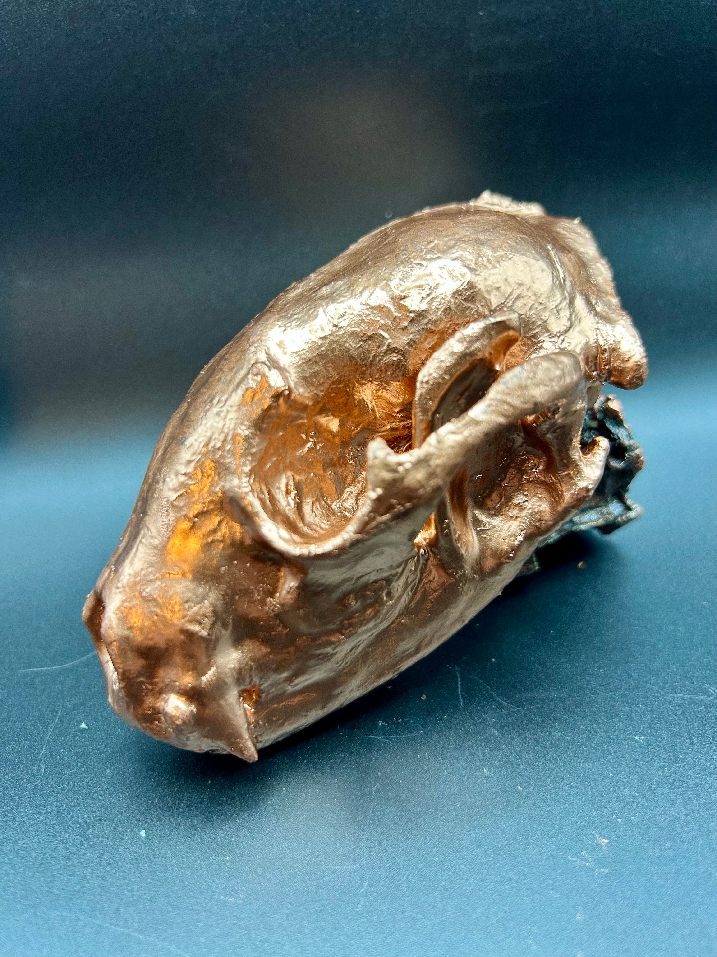 Copper Plated Racoon Skull