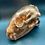 Thumbnail: Copper Plated Racoon Skull