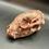 Thumbnail: Copper Plated Racoon Skull