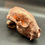 Thumbnail: Copper Plated Racoon Skull