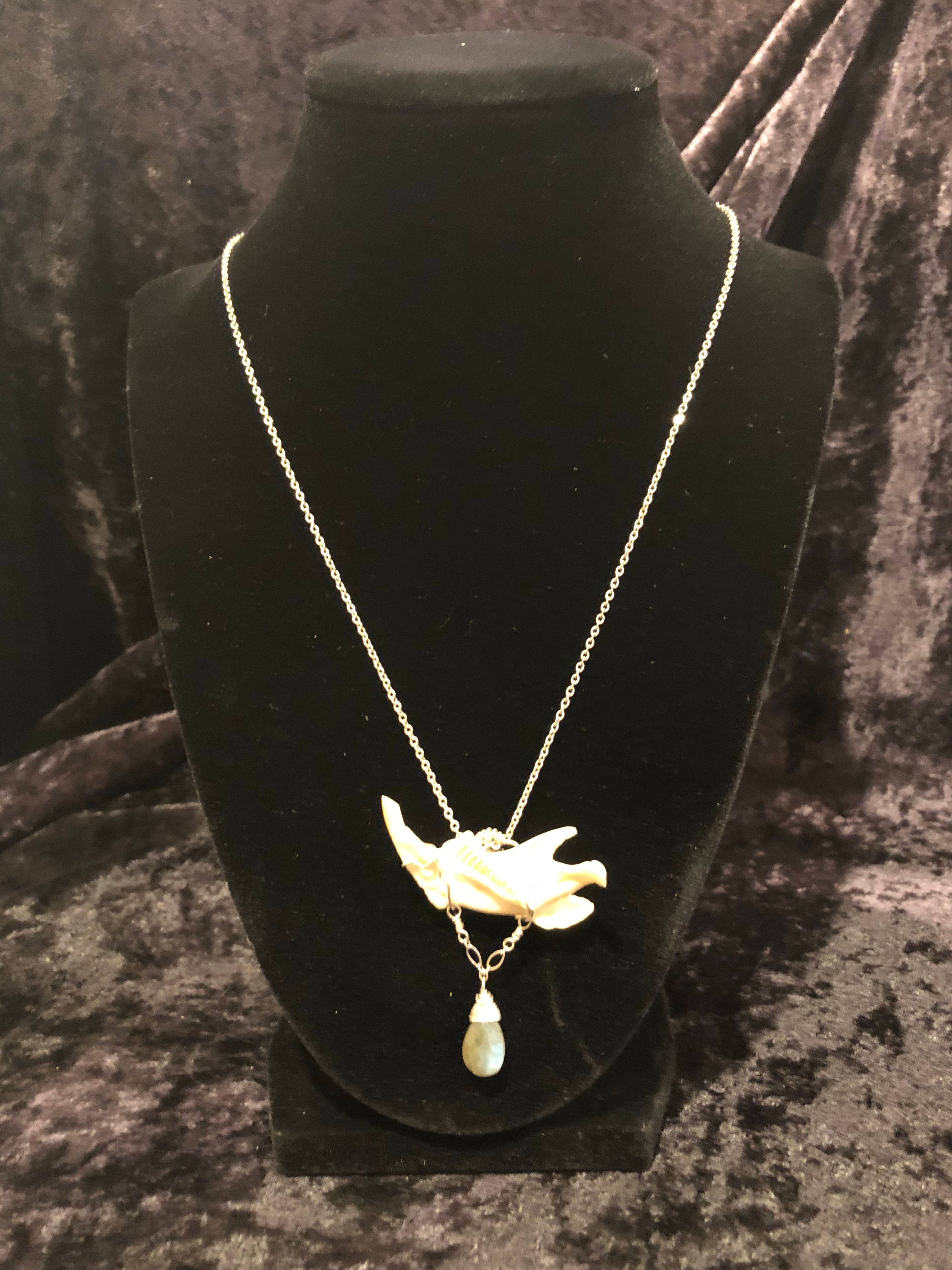 Mammal Mandible w/ Labradorite Necklace