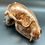 Thumbnail: Copper Plated Racoon Skull