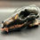 Thumbnail: Graphite and Copper Plated Farmed Fox Skull with Grillz