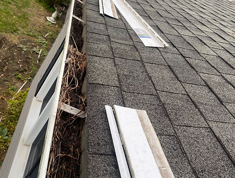 Shit Gutter Guards 3.jpg