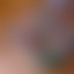 Rucola Rindlfeischsalat mit Himbeeren