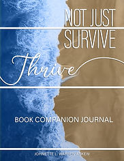 NJST Journal Cover2-topaz-denoise.jpeg