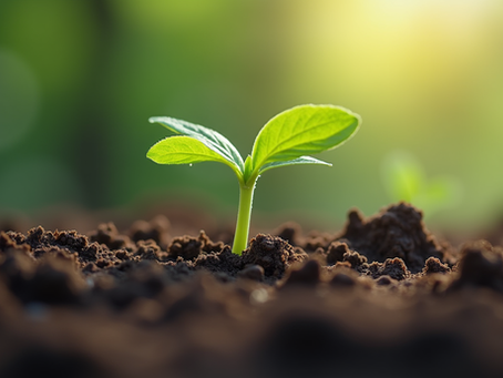 The Power of Small Steps in Your Healing Journey