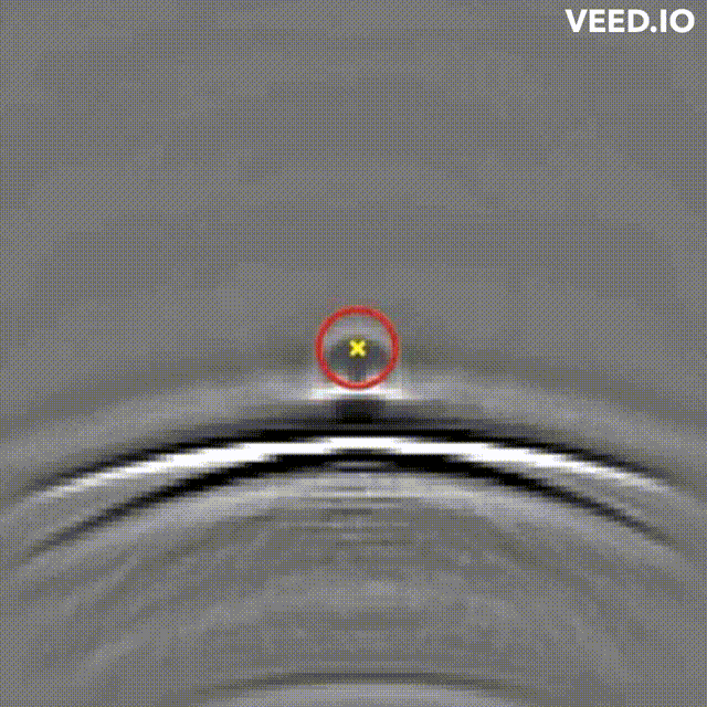 5_clean.gif
