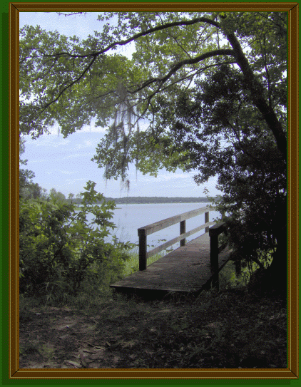 Georges-lake-florahome-fl.gif