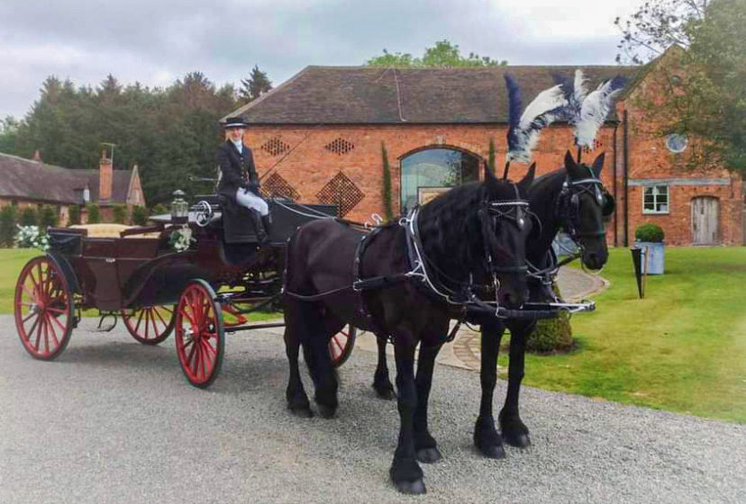 AJ CarriagesIMG_3825_LDM.jpg