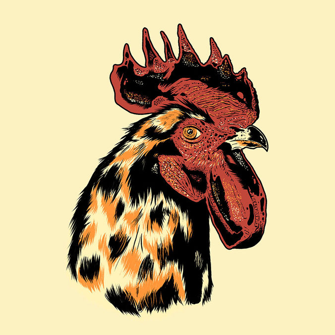 Rooster_Eye_galo.jpeg