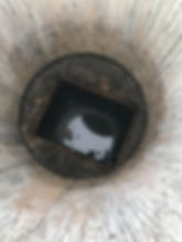 KEVIN LAST PICTURE.jpeg
