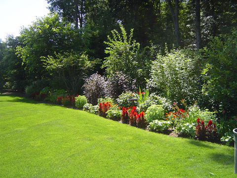 landscape planting with lawn installation, garden bed design, and shrub border in Massachusetts