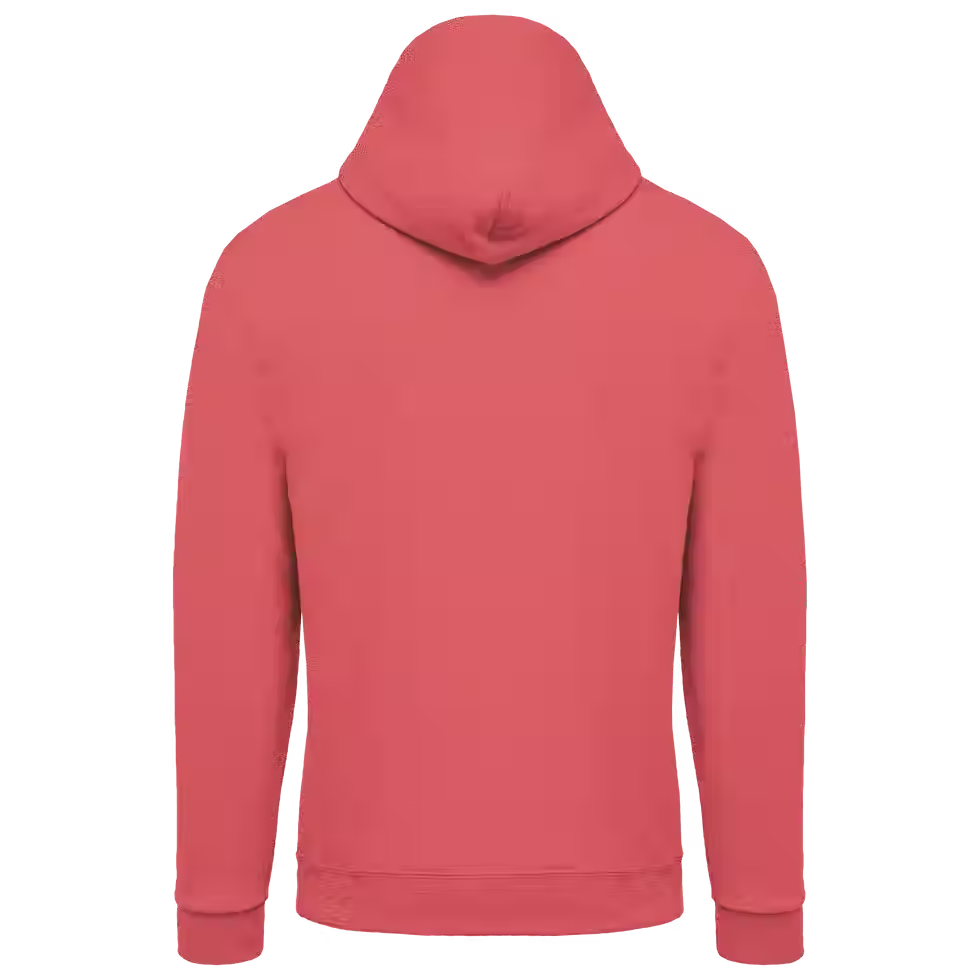 Miniature : Sweat-shirt capuche homme