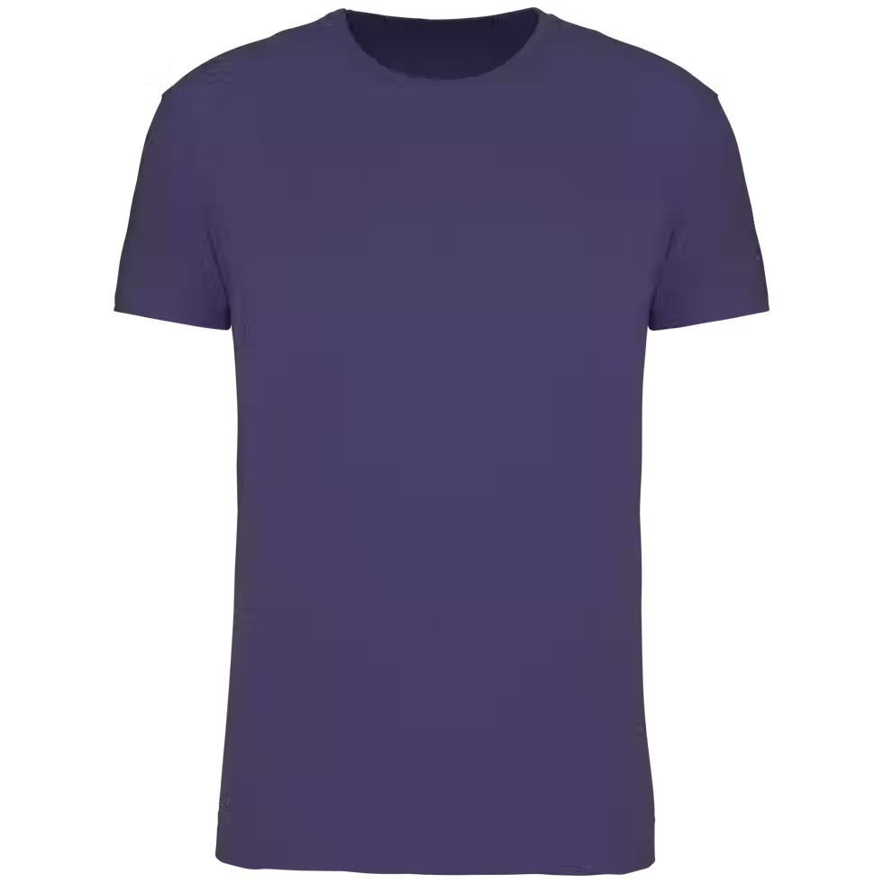 Miniature : K3032IC - T-shirt Bio190 IC homme