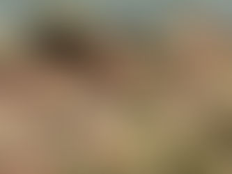 Another School Year Arrives - Academic Title 1 Woes Continue