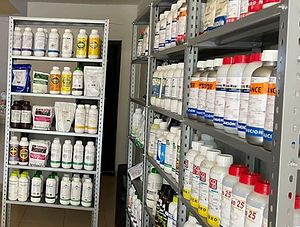 Tienes problemas en tus cultivos? Soluciones Unstar te ofrece: Fertilizantes, Herbicidas, Fungicidas y Asesoría técnica