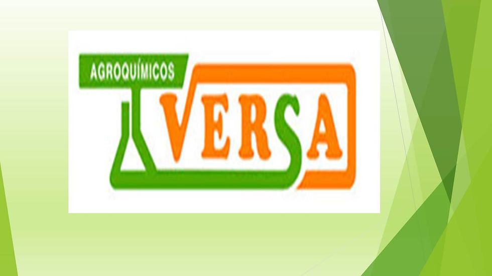 VERSA