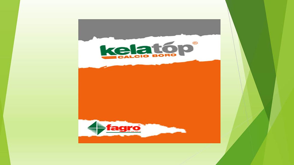KELATOP CALCIO BORO