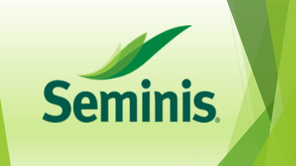 SEMINIS