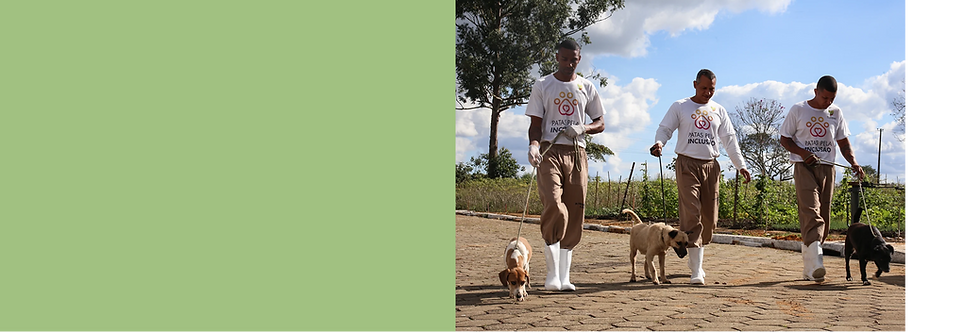 contato background.png