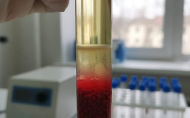 WhatsApp Image 2026-01-12 at 21.45.33.jpeg