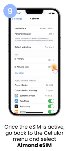 Check EID Tutorial on iPhone