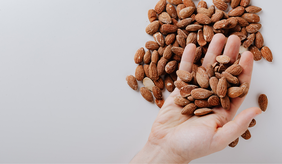 Your paragraph text.png