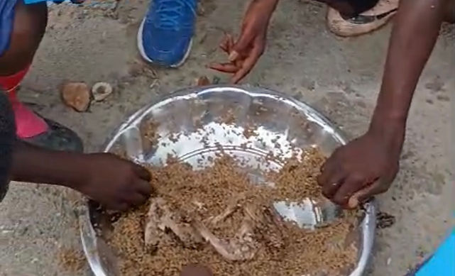 eating ketti.jpg