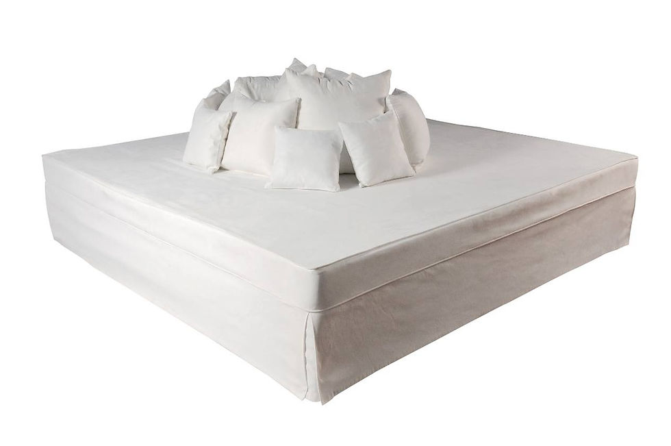 מיטת רביצה לבנה