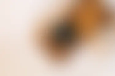 Bed and Breakfast Website Design Inspiration: A Comprehensive Guide