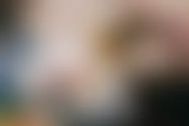 Avail the Best PPC Management for Child Care in Altamonte with RedFork Marketing