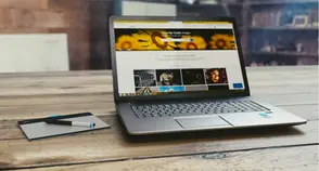 Uncovering the Power of Organic Keywords in SEO and Content Marketing