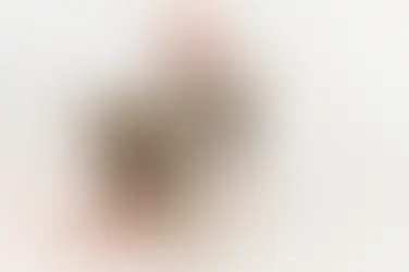 Maximizing ROI: Tips for Effective PPC Campaigns for Veterinary