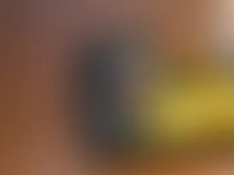 Result-Driven Steakhouse Branding in Orlando by RedFork Marketing